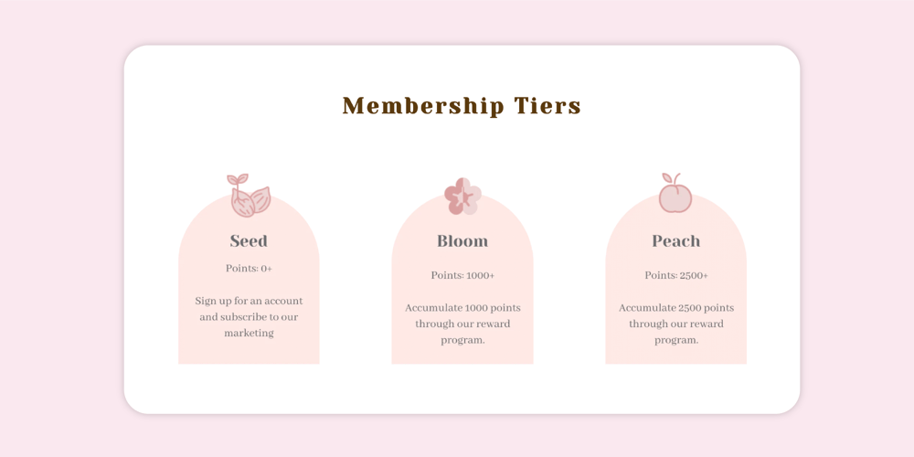 Our Bralette Club's membership loyalty tiers explainer webpage