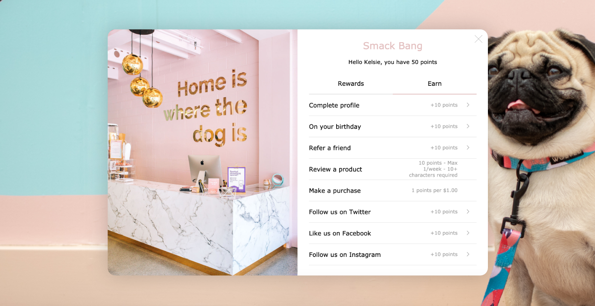 Smack Bang's website loyalty widget with options for points earning overlaid on a background image of a pug.