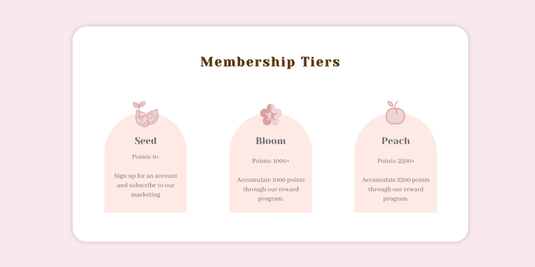 Our Bralette Clubs membership loyalty tiers explainer webpage