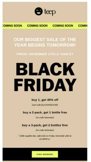 teep-black-friday-email-example